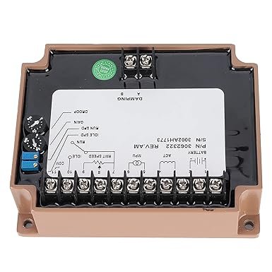 Ecogas Electronic Speed Governor