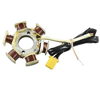 Stator Plate Assembly TVS Star City/Centra